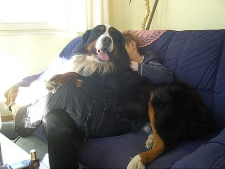 von Schünemanns Hof