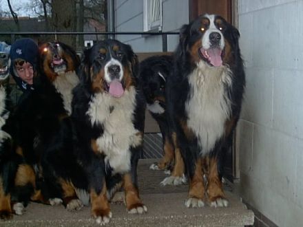 von Schünemanns Hof