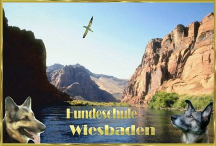Hundeschule Löb Wiesbaden