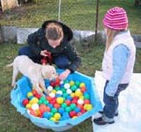 Hundeschule Frankfurt und Rhein Main Gebiet