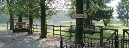 Hundeschule Westerbroek