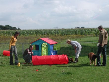 Hundeschule Westerbroek