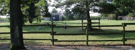 Hundeschule Westerbroek