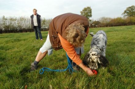 Familienhund-Akademie