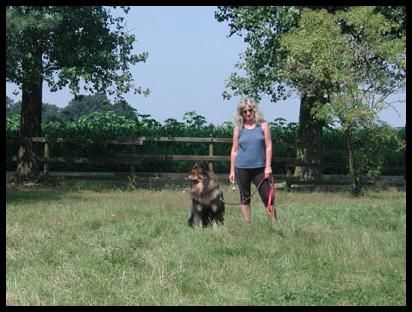 Hundepension Westerbroek