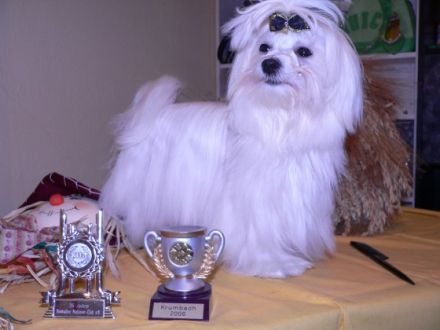 of the children of a King