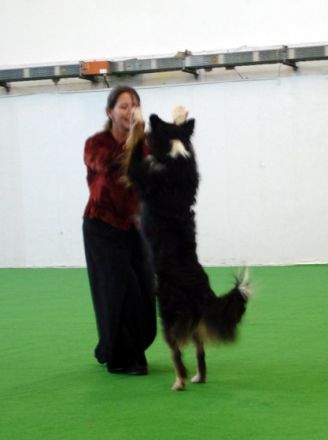 Einfach Tierisch Gut