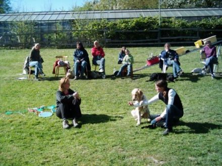 Hundeschule Arnsberg Dog Dream