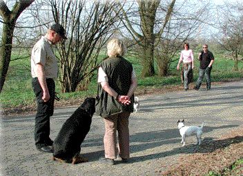 animalstar.de - Filmtiere & Hundeschule D. Lenzen