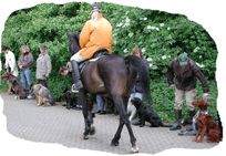 animalstar.de - Filmtiere & Hundeschule D. Lenzen