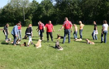 Der "virtuelle Hundeplatz" - im Ostalbkreis
