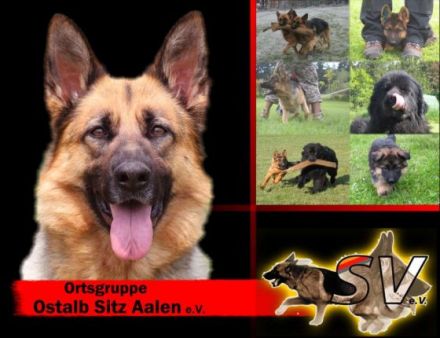 Der "virtuelle Hundeplatz" - im Ostalbkreis