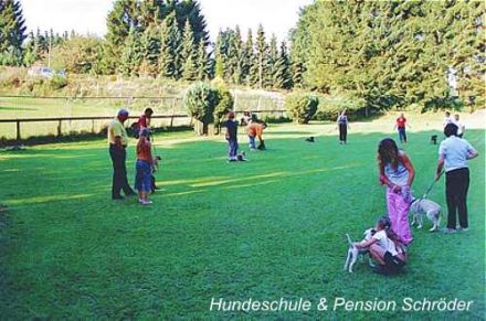 Hundeschule Schröder