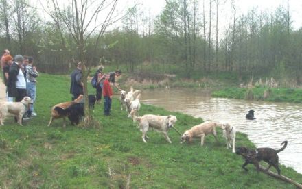 Mobile Hundeschule Fassbender
