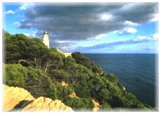 Kieler Hundecollege seit 1991