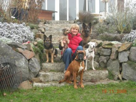 Hundeschule Schiffenberger Tal Giessen