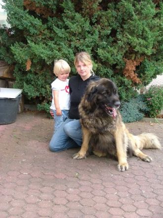 Hundeschule Wolfacademy, Zweigstelle Felsberg