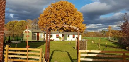 Hundehütte Soest Hundepension