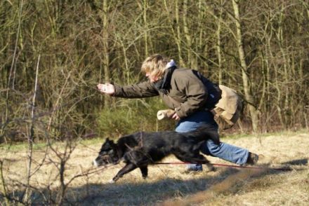 Rheinische Hundeschule