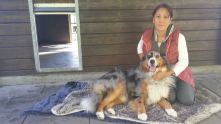 Hundepension Schlüchtern in Hessen