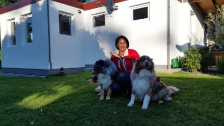 Hundepension Schlüchtern in Hessen