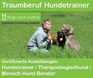 DogCoach Enrico Lombardi (Sachverständiger)