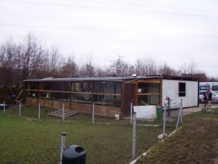 Hundeschule Tierschutzverein Iserlohn e.V.