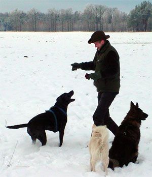 Miteinander wachsen - Martina Scholz