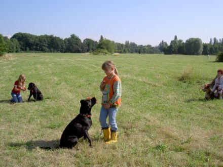 Hunde- und Halterschule Frankfurt