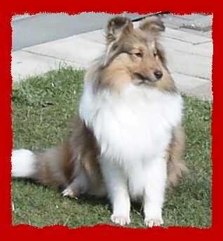 vom Tecklenburger-Berg