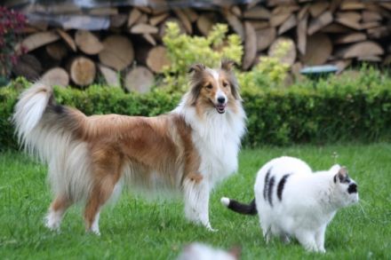 vom Tecklenburger-Berg