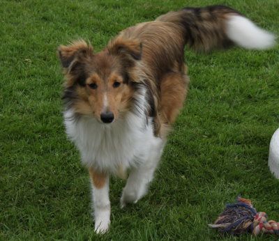 vom Tecklenburger-Berg