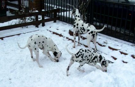 Aus der Reichelsdorfer Wurfkiste