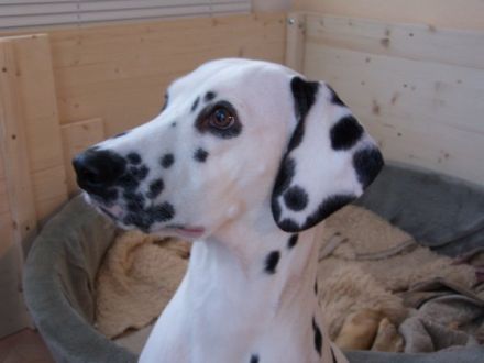 Aus der Reichelsdorfer Wurfkiste