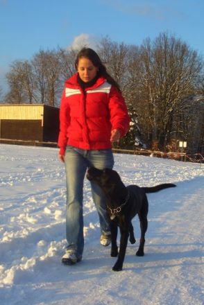 die mobile Hundeschule in Esslingen und Umgebung