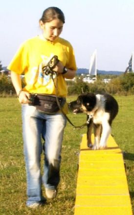 Hundeschule Sport- & Begleithunde "Glück Auf" Gosl