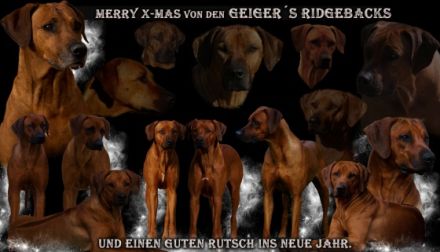 von Geiger`s Ridgeback
