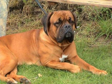 Von den Gleichbergen