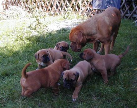 Von den Gleichbergen