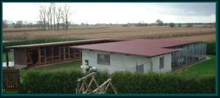 Hundepension Greiner