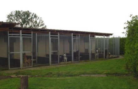 Hundepension Greiner