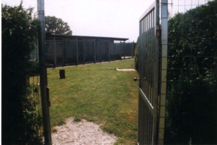 Hundepension Greiner