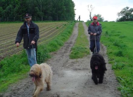Hundepension Greiner