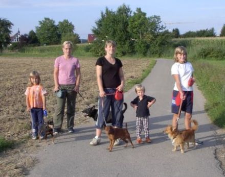 Hundepension Greiner