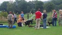 Hundeschule Hilders
