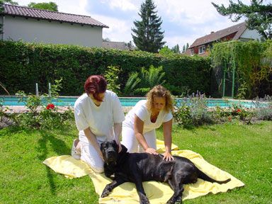 Crameri Doggy-Wellness-Hotel/ Rheinland-Pfalz