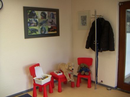 Praxis für Kleintiere und Tierphysiotherapie