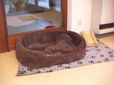 Praxis für Kleintiere und Tierphysiotherapie