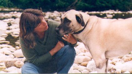 Tierpsychologische, HATIBE Hundeschule