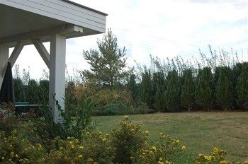 Auf mit Hund an die Ostsee